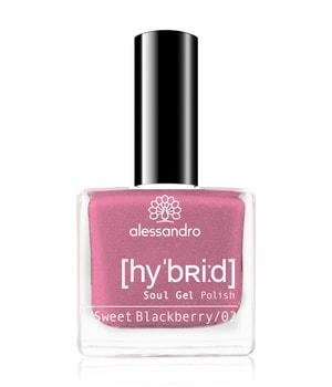Alessandro Hybrid Sweet Blackberry