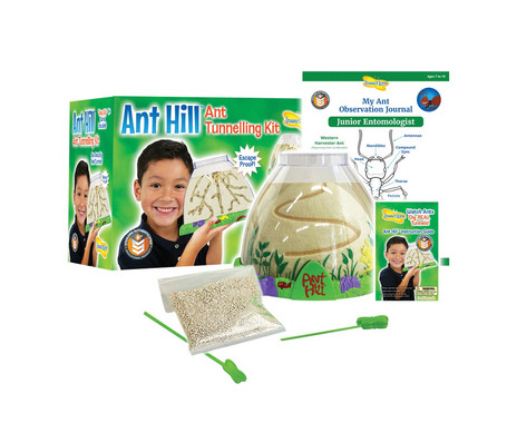 Ant observation station