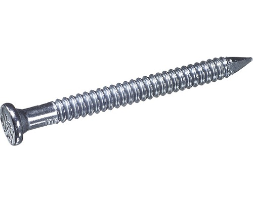 DRAKENA Anchor nail 4.0 x 40 mm galvanized, 200 pieces