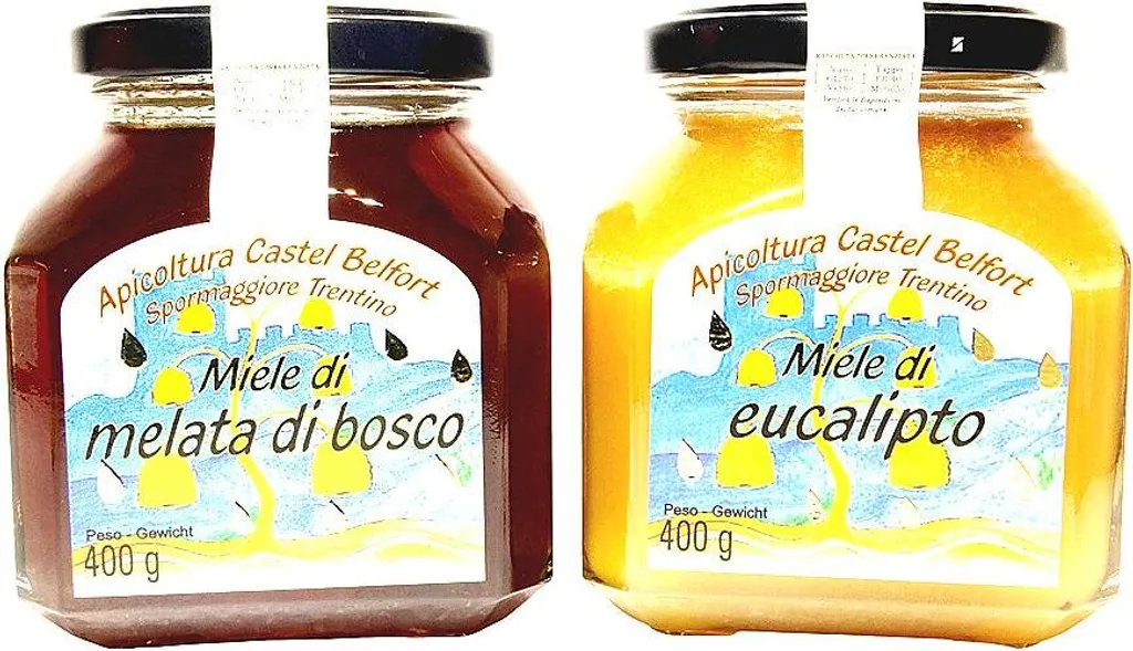Win2Win Tech Apicoltura Castel Belfort - Honey Set: Forest Honey and Eucalyptus Honey - 100% Italian, Cold Extracted, Natural, 400g