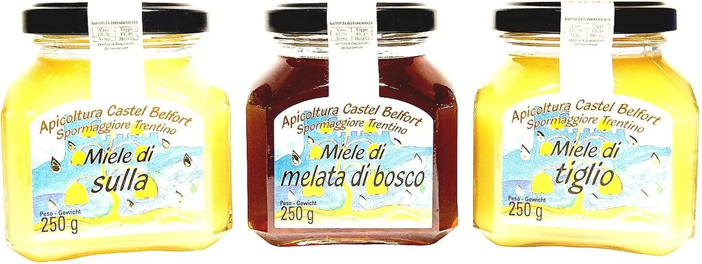 Win2Win Tech Apicoltura Castel Belfort - Set of 3 honeys: Sulla Forest Honey, Linden Honey - 100% Italian, Cold Processed, 3 x 250g