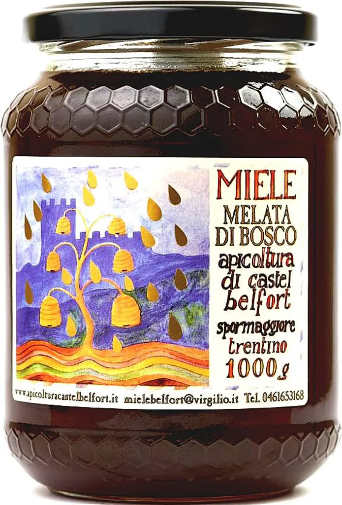 Win2Win Tech Apicoltura Castel Belfort - Melata Forest Honey 100% Italian - Cold Processed - Natural Honey - 1 kg 1000g