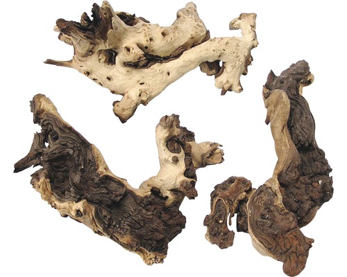 ORBIT Aquarium decoration Mopani root medium