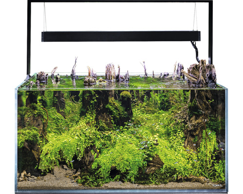 Aquarium AQUAEL UltraScape 90 with LED lighting approx. 243 l OPTI-glass, white glass, without cabinet forest