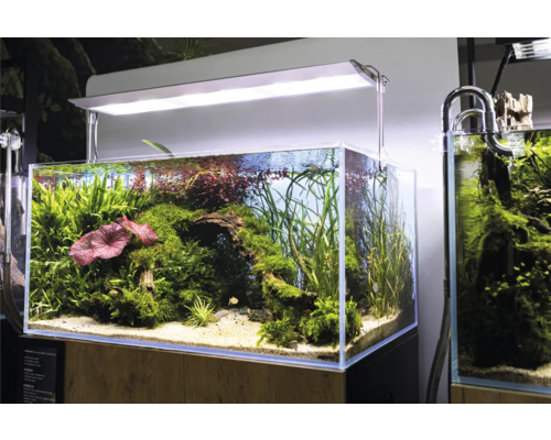 Aquarium AQUAEL UltraScape 90 with LED lighting Ultra Slim 90, approx. 243 l, approx. 90 x 60 x 45 cm, OPTI glass, white glass, without base cabinet