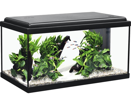 Aquarium aquatlantis Advance 60 with LED lighting, filter, heater without black base cabinet