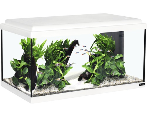 Aquarium aquatlantis Advance 60 with LED lighting, filter, heater without base cabinet white