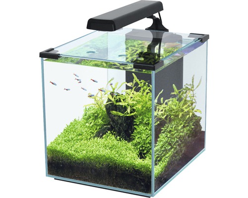 Aquarium aquatlantis Nano Cubic 30 with frosted glass back, LED lighting, filter, heater, pump black (without cabinet)