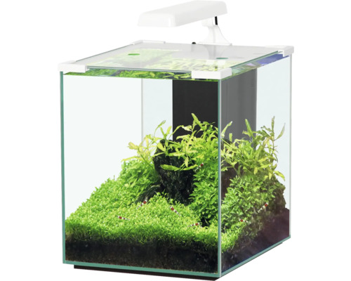 Aquatlantis Nano Cubic 30 aquarium with frosted glass back, LED lighting, filter, heater, pump, white (without cabinet)