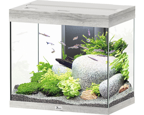Aquarium aquatlantis Splendid 110 incl. lighting, filter ash white