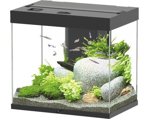 Aquarium aquatlantis Splendid 110 incl. lighting, filter black