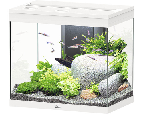 Aquarium aquatlantis Splendid 110 incl. lighting, filter white
