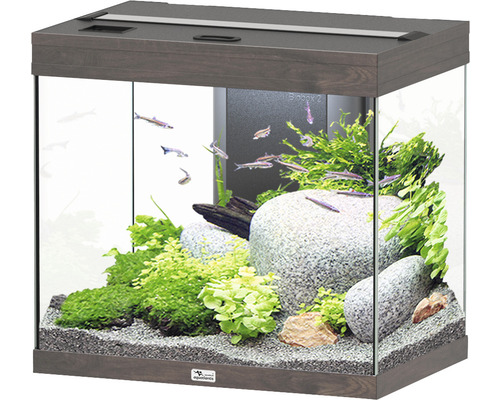 Aquarium aquatlantis Splendid 110 incl. lighting, filter wild oak dark