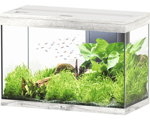 Aquarium aquatlantis Splendid 145 incl. lighting, filter ash white