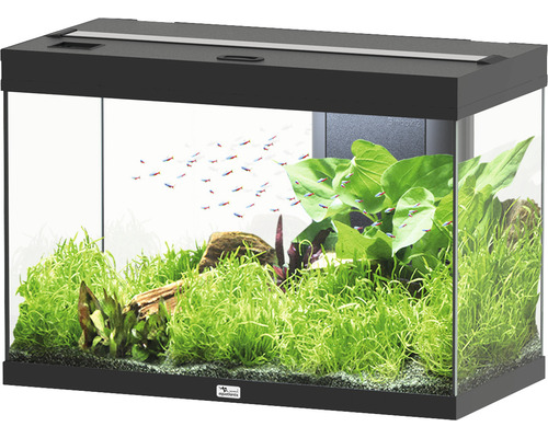 Aquarium aquatlantis Splendid 145 incl. lighting, filter black