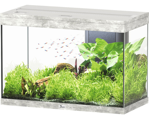 Aquarium aquatlantis Splendid 145 including lighting, filter stone look