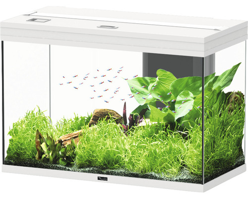 Aquarium aquatlantis Splendid 145 incl. lighting, filter white