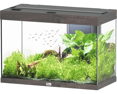Aquarium aquatlantis Splendid 145 incl. lighting, filter wild oak dark