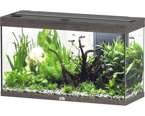Aquarium aquatlantis Splendid 200 including lighting, filter dark