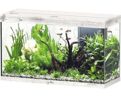 Aquarium aquatlantis Splendid 200 incl. lighting, filter ash white