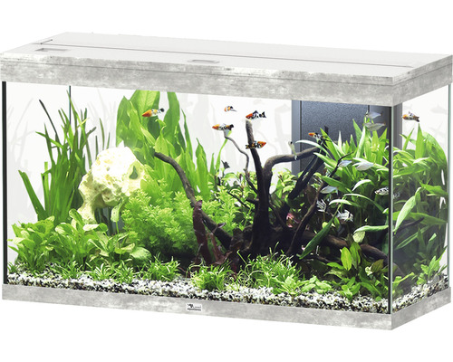 Aquarium aquatlantis Splendid 200 including lighting, filter stone look