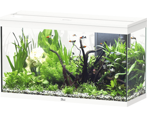 Aquarium aquatlantis Splendid 200 incl. lighting, filter white