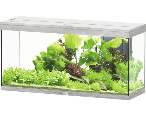 Aquarium aquatlantis Splendid 240 incl. lighting, filter ash white