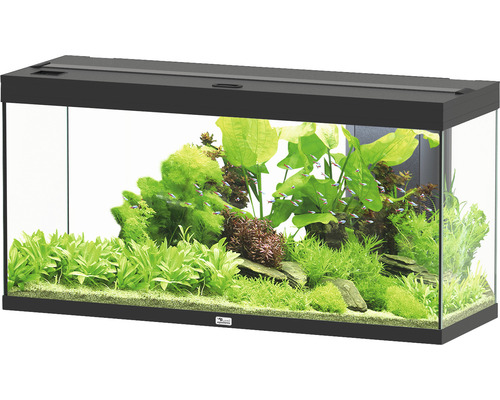Aquarium aquatlantis Splendid 240 incl. lighting, filter black