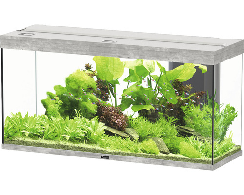 Aquarium aquatlantis Splendid 240 including lighting, filter stone look