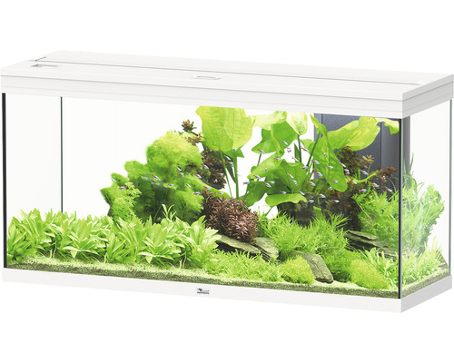 Aquarium aquatlantis Splendid 240 incl. lighting, filter white