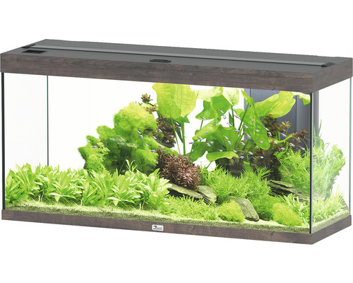Aquarium aquatlantis Splendid 240 incl. lighting, filter wild oak dark