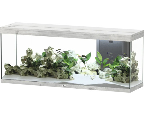 Aquarium aquatlantis Splendid 300 incl. lighting, filter ash white