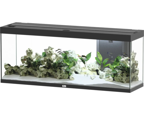 Aquarium aquatlantis Splendid 300 incl. lighting, filter black