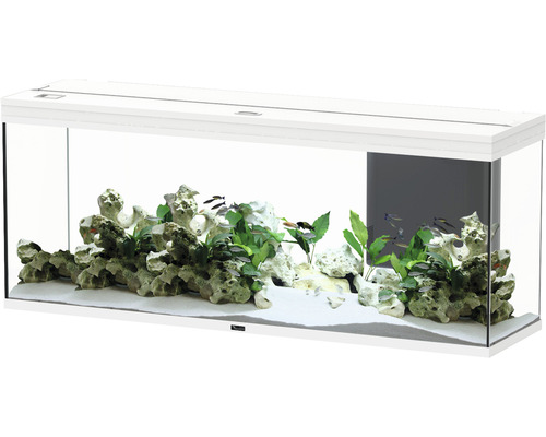 Aquarium aquatlantis Splendid 300 incl. lighting, filter white