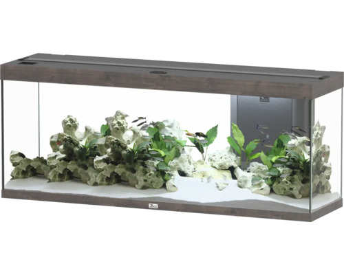 Aquarium aquatlantis Splendid 300 including lighting, filter wild oak dark