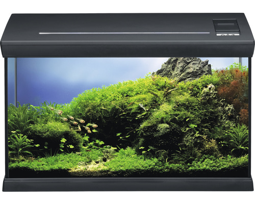 Aquarium EHEIM aquaclass 66 including lighting, heater, filter, thermometer 60.7 x 31 x 35 cm anthracite