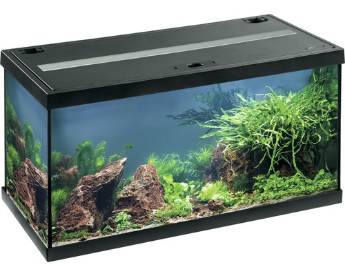 Aquarium EHEIM aquastar 54 with LED lighting, internal filter, heater, thermometer without black base cabinet