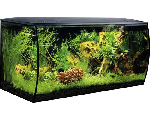 Aquarium Fluval Flex 123 l incl. LED lighting, filter, foam base without black base cabinet
