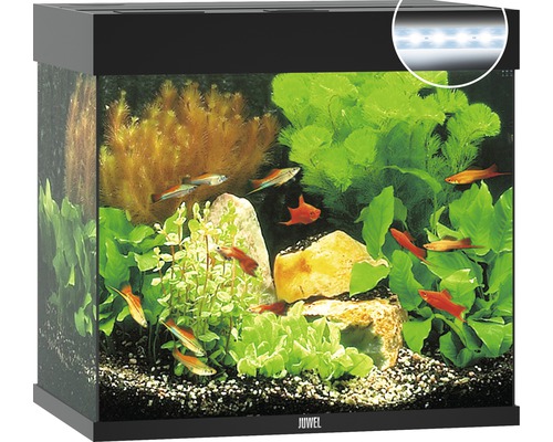 Aquarium JUWEL Lido 120 with LED lighting, pump, filter, heater without cabinet black