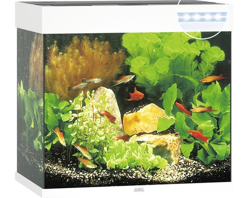 Aquarium JUWEL Lido 120 with LED lighting, pump, filter, heater without cabinet white