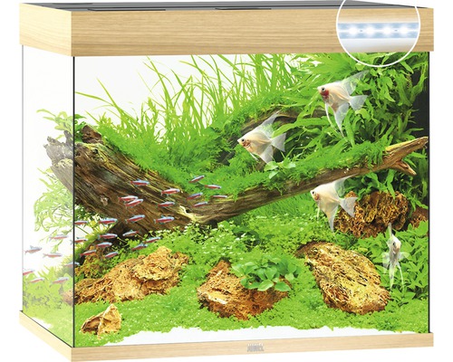 Aquarium JUWEL Lido 200 with LED lighting, pump, filter, heater without base cabinet light wood