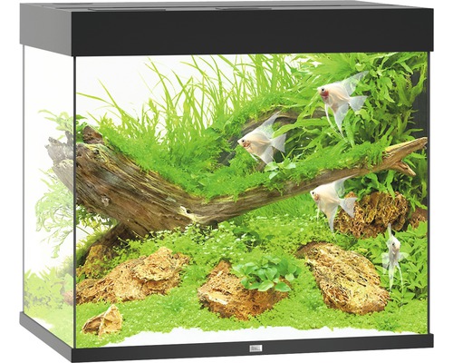 Aquarium JUWEL Lido 200 with LED lighting, pump, filter, heater without cabinet black