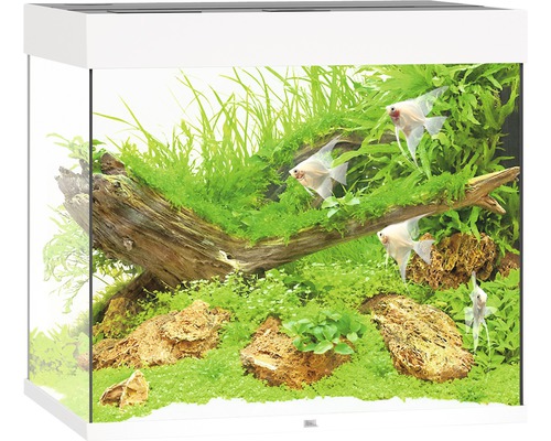 Aquarium JUWEL Lido 200 with LED lighting, pump, filter, heater without cabinet white