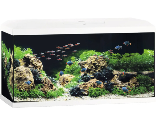 Juwel Aquarium Aquarium JUWEL Primo 110 LED 2.0 incl. cover, Bioflow Super filter, Eccoflow pump, AquaHeat Pro, NovoLux LED approx. 81 x 36 x 43.5 cm, approx. 110 l white
