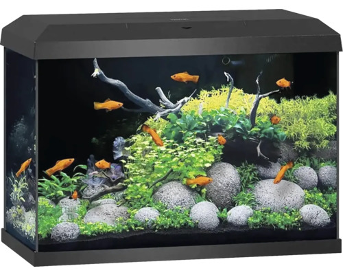 Juwel Aquarium Aquarium JUWEL Primo 70 including cover with LED lighting, heater, filter without black base cabinet