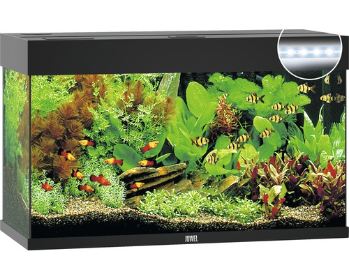 Juwel Aquarium Aquarium JUWEL Rio 125 with LED lighting, pump, filter, heater without black base cabinet