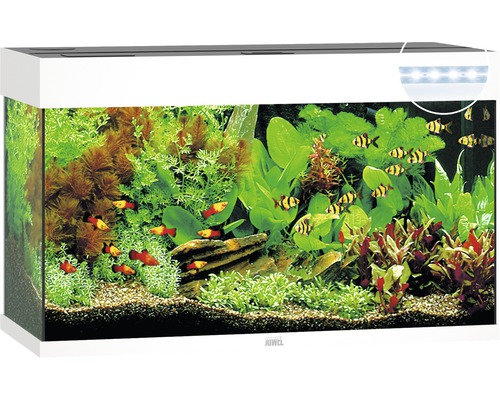 Aquarium JUWEL Rio 125 with LED lighting, pump, filter, heater without cabinet white