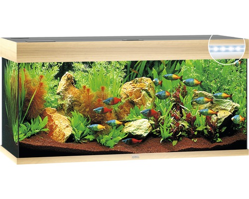 Aquarium JUWEL Rio 180 with LED lighting, pump, filter, heater without base cabinet light wood