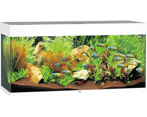 Juwel Aquarium JUWEL Rio 180 aquarium with LED lighting, pump, filter, heater without white base cabinet