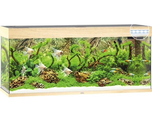 Aquarium JUWEL Rio 240 with LED lighting, pump, filter, heater without cabinet light wood